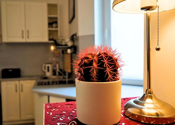 Comfy Sa Apartamento