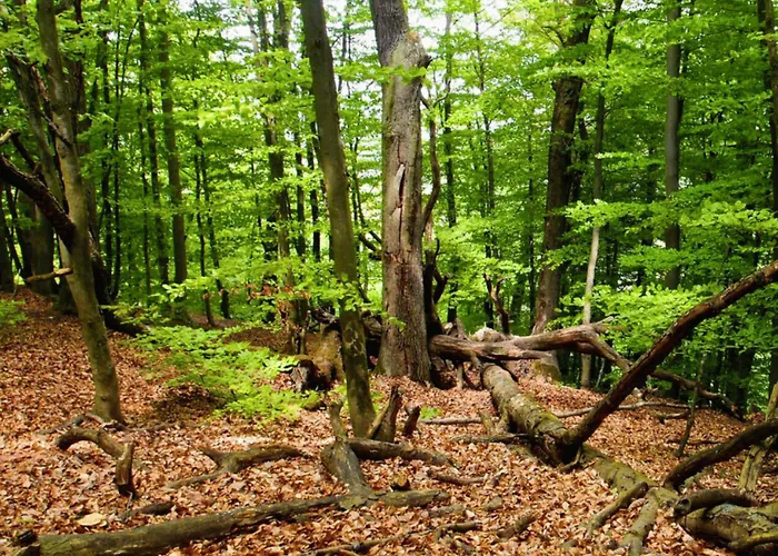 Apartamento Comfy Sa